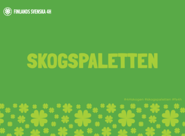 Skogspaletten inspirerar till skogsäventyr featured image